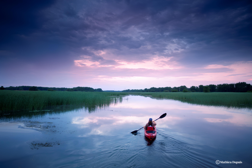 Hôtels Gouverneur Montréal Île Charron Parc Iles De Boucherville Kayak Été